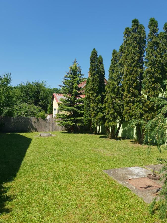 Zseki Apartman Хайдусобосло Экстерьер фото